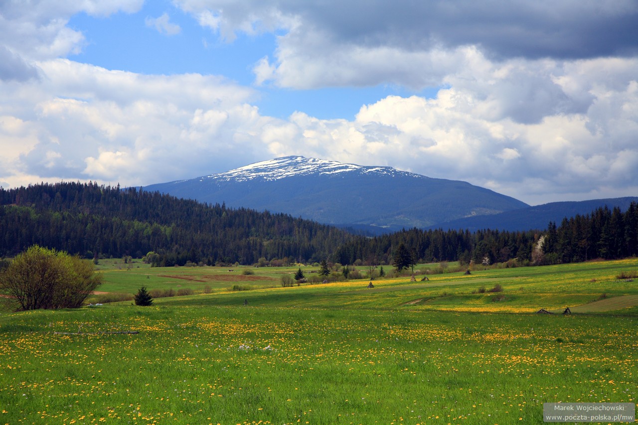 Orawka